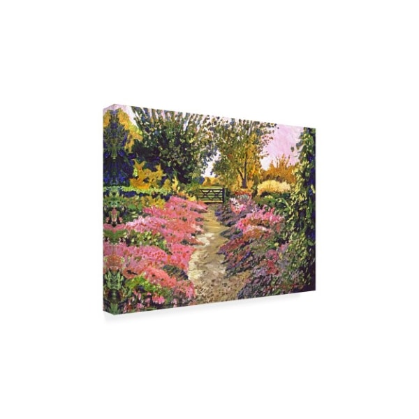 David Lloyd Glover 'Up To The Garden Gate' Canvas Art,18x24